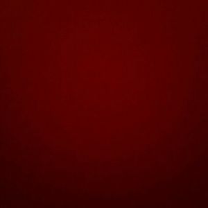 Meet your Posher, Leonardo